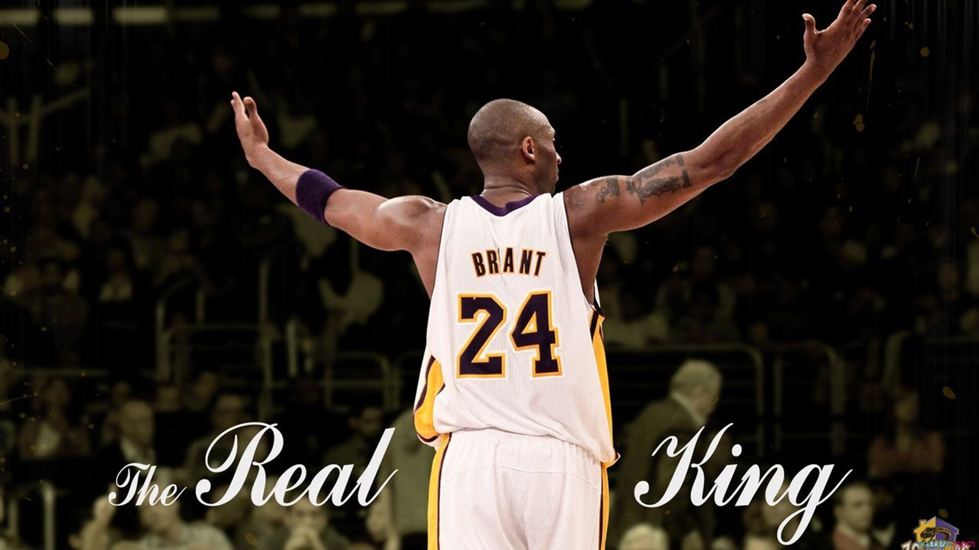 约基奇防守端锁死对手，猛龙团队压制雄鹿，现代篮球的攻防启示录